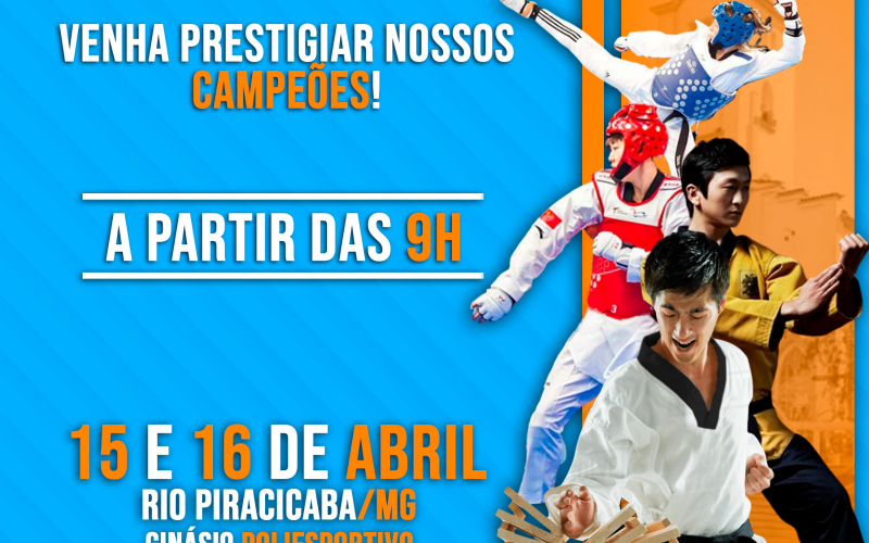 Campeonato Mineiro de Taekwondo - I Copa Saltando Para a Vitória
